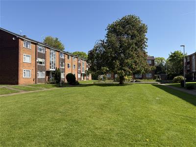 Picture 19